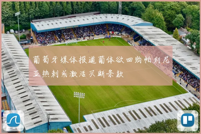 葡萄牙媒体报道葡体欲回购帕利尼亚热刺或激活买断条款
